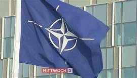 "ZIB 2 History" zu "75 Jahre NATO"