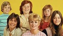 The Partridge Family - streaming tv show online