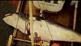 Vor 20 Jahren: Walfänger in Norwegen | SPIEGEL TV