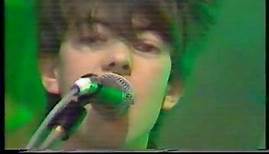 Echo and the Bunnymen - Villiers Terrace The Mersey Pirate