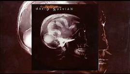 David Sylvian / God Man (Full EP)