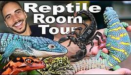 Exotic & Rare Reptile Room Tour!