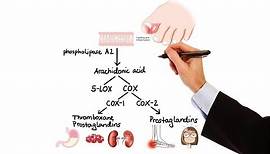 Pharmacology - NSAIDs & PROSTAGLANDIN ANALOGS (MADE EASY)