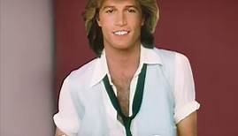 "The Very Best Of" by Andy Gibb - Available Now!