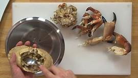 Décortiquer un crabe