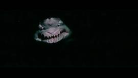 Strange Wilderness - Shark Footage