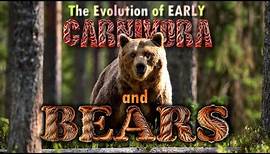 The early Carnivores and the Evolution of Bears