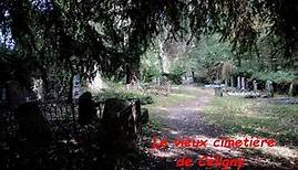 LES LIEUX INSOLITES : le vieux cimetière de Céligny (Suisse)