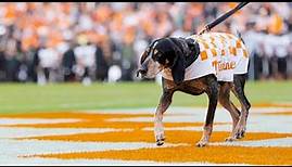 Tennessee Traditions: Smokey
