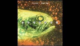 Laraaji & Roger Eno "Islands" (Live-1989)