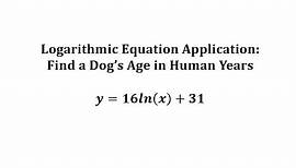 Determine the Human Age of a Dog