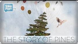 The Story of Pines from Alison Sudol | Participant Media | TakePart TV