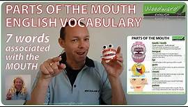 Parts of the Mouth - English Vocabulary
