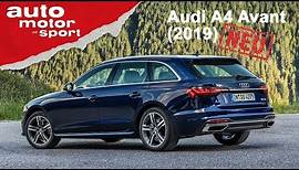 Audi A4 und S4 Avant (2019): Was kann die Neuauflage? - Fahrbericht/Review | auto motor & sport