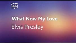 Elvis Presley - What Now My Love (Lyrics)