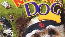 The Karate Dog streaming: where to watch online?