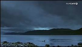 Beneath Loch Ness (2001) online subtitrat