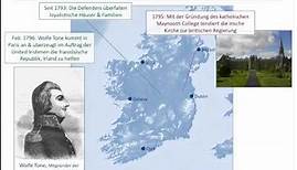 Die Irische Rebellion von 1798