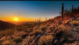 Why Scottsdale Makes the Perfect Travel Destination | Absolutely Scottsdale