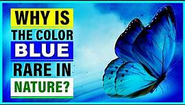 Why is the Color Blue So Rare in Nature? Is blue a color or optical illusion?