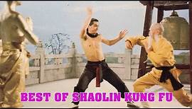 Wu Tang Collection - Best of Shaolin Kung Fu
