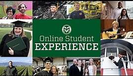 CSU Online Student Experience