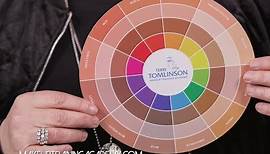 How to Use The Flesh Tone Color Wheel™