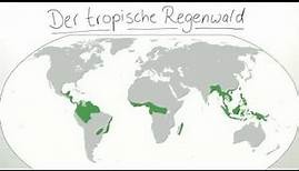 DER TROPISCHE REGENWALD | Biologie | Ökologie