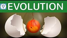Was ist Evolution? - Definition | Evolution 2