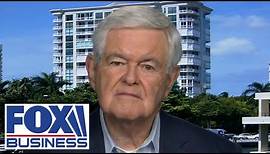 'URBAN RENAISSANCE': Newt Gingrich says Trump could dramatically rebuild America