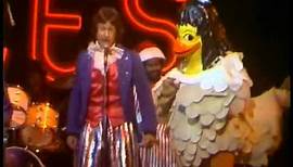 Rick Dees Disco Duck (Live Midnight Special)