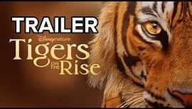 Tigers on the Rise (2024) | Trailer | Official New Movie