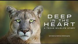 Deep in the Heart: A Texas Wildlife Story | Narrated by Matthew McConaughey | WaterBear | Trailer