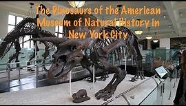 The Dinosaurs of the American Museum in New York City