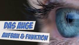 Das Auge | Aufbau und Funktion | Pflege Kanal