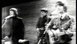 The Hollies Remember - Tony Hicks Plays "Look Through Any Window"