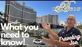 Inside the World of Las Vegas' Iconic Bellagio Hotel & Casino - What You Need to Know!