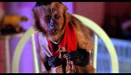 Monkey Trouble Trailer 1994