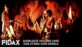 Pidax - Sherlock Holmes und der Stern von Afrika (1992, Bill Corcoran)