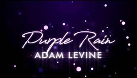 Adam Levine - Purple Rain (Lyrics)