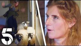 The Sheep Broke Into The House! | Our Yorkshire Farm | Channel 5