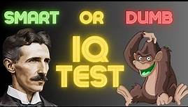 What is your IQ? The Most Accurate and Free IQ Test!