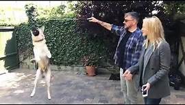 Craig Ferguson and his wife Megan playing with their Dog Spike