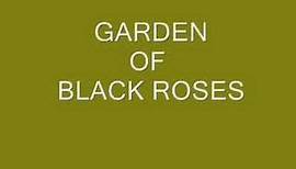 Garden Of Black Roses.