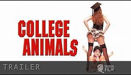 College Animals (Trailer Deutsch)