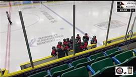 Your Vikings took a 7-6 loss today against Blackfalds. Things fell apart in the 2nd period, but in the final minutes of the 3rd they really came together and almost tied it up! You’ll get the W next time Vikings! | Camrose U11A Vikings 23/24
