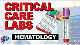 Hematology - Complete Blood Count (CBC) - Critical Care Labs