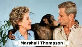 Marshall Thompson: "Daktari - Leoparden in der Ndala-Schlucht" (1966)