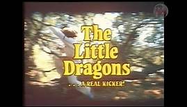 The Little Dragons (1980) - VHS Trailer [7K Seven Keys Video]