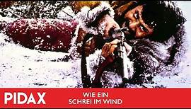 Pidax - Wie ein Schrei im Wind (1966, Sidney Hayers)